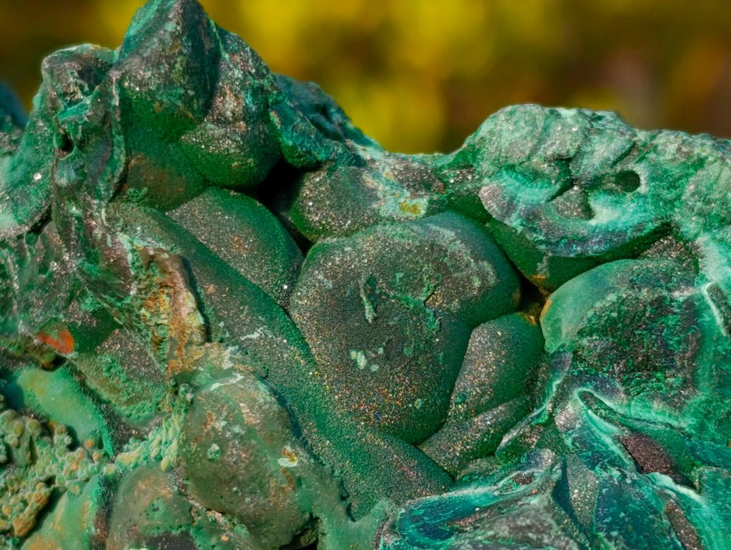 Natural Large Silky Malachite Specimen x 1 From Kasompe, Congo - Toprock Gemstones and Minerals 