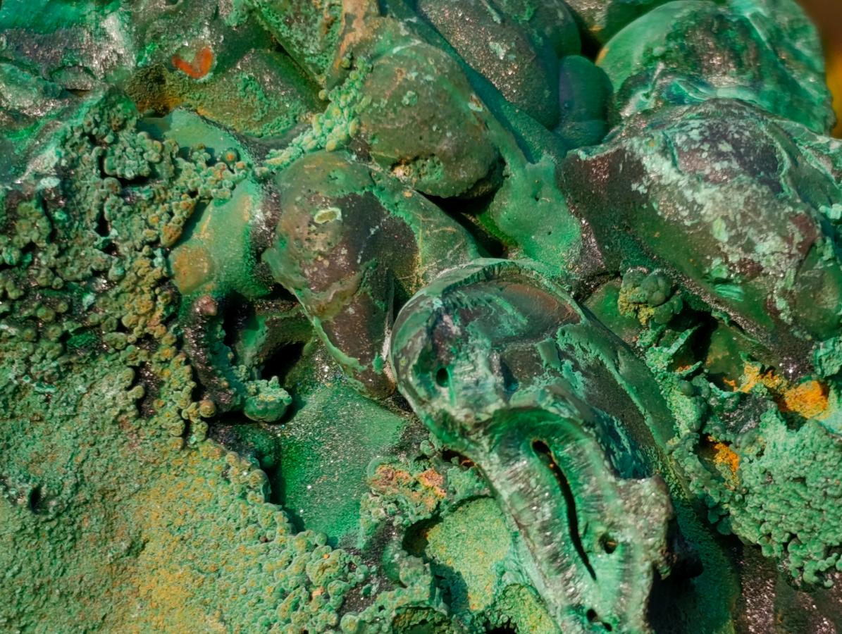 Natural Large Silky Malachite Specimen x 1 From Kasompe, Congo - Toprock Gemstones and Minerals 