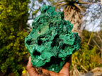 Natural Large Silky Malachite Specimen x 1 From Kasompe, Congo - Toprock Gemstones and Minerals 