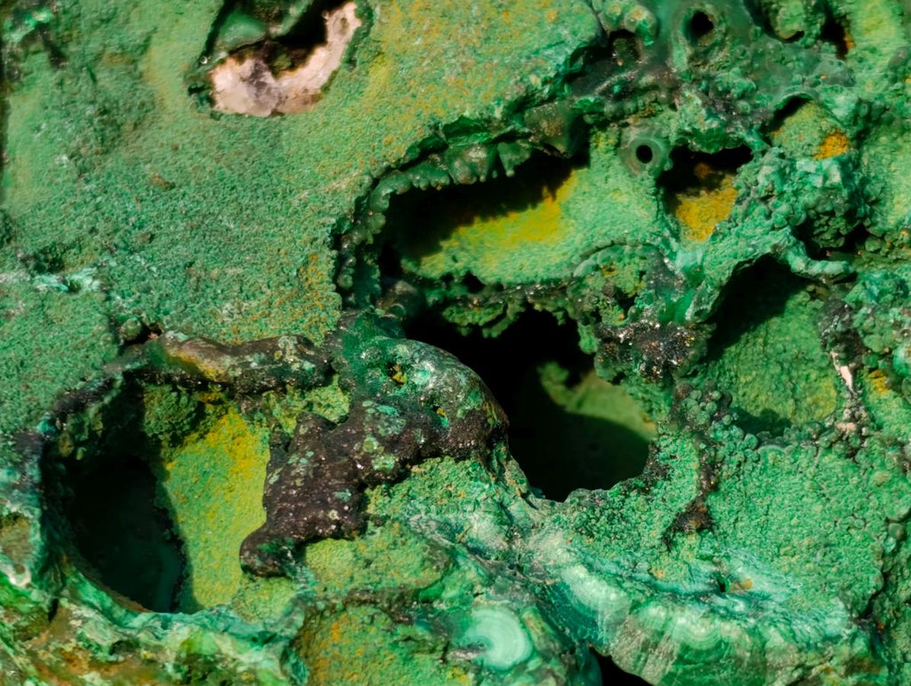 Natural Large Silky Malachite Specimen x 1 From Kasompe, Congo - Toprock Gemstones and Minerals 
