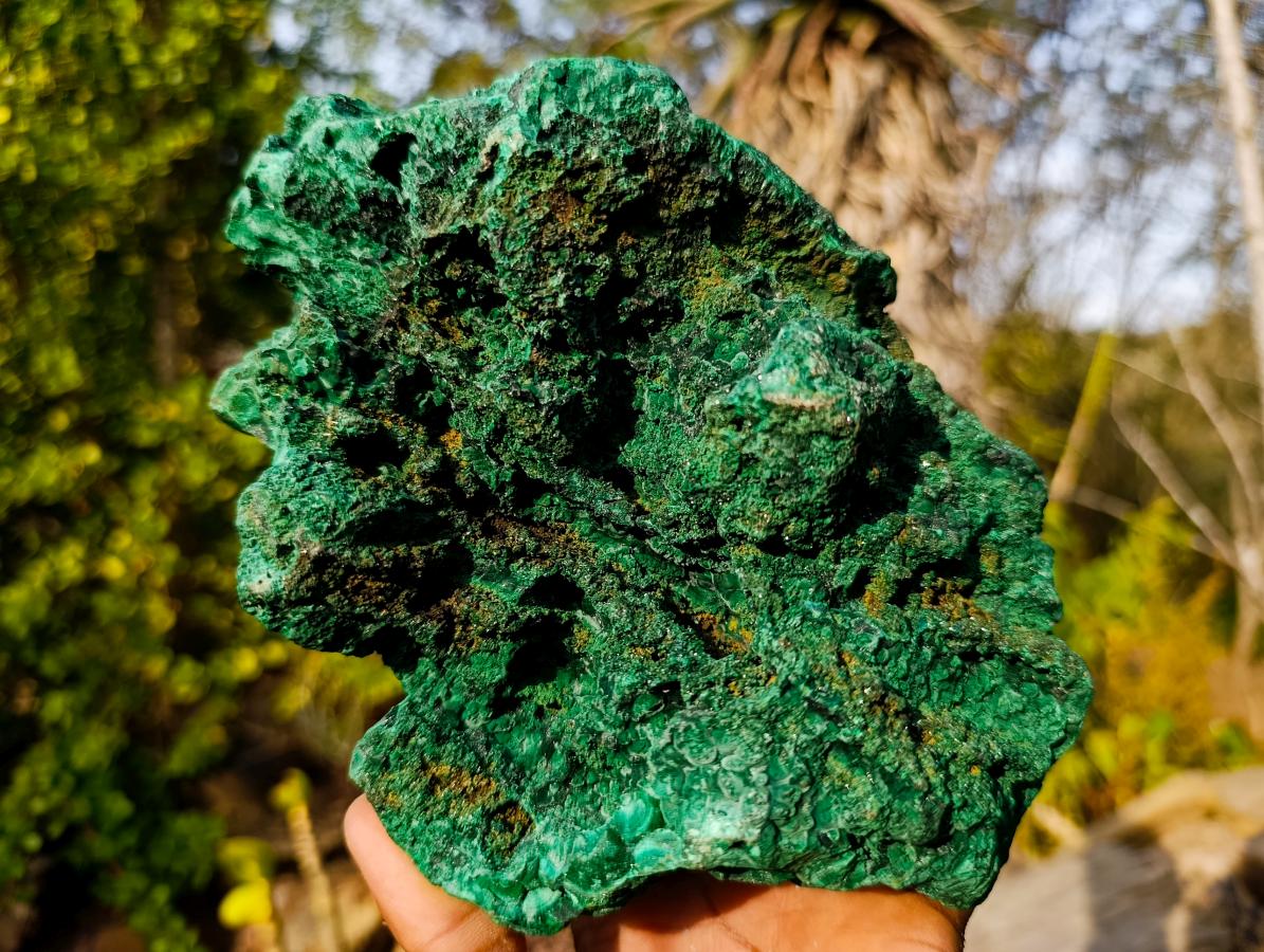 Natural Large Silky Malachite Specimen x 1 From Kasompe, Congo - Toprock Gemstones and Minerals 