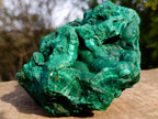 Natural Large Silky Malachite Specimen x 1 From Kasompe, Congo - Toprock Gemstones and Minerals 