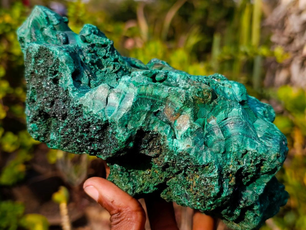 Natural Large Silky Malachite Specimen x 1 From Kasompe, Congo - Toprock Gemstones and Minerals 
