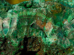 Natural Large Silky Malachite Specimen x 1 From Kasompe, Congo - Toprock Gemstones and Minerals 