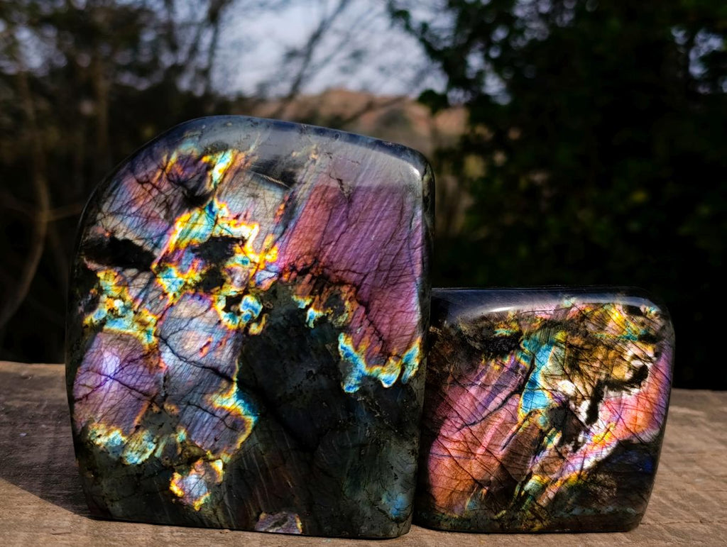 Polished Labradorite Sunset Standing Display Pieces x 3 From Madagascar - Toprock Gemstones and Minerals 
