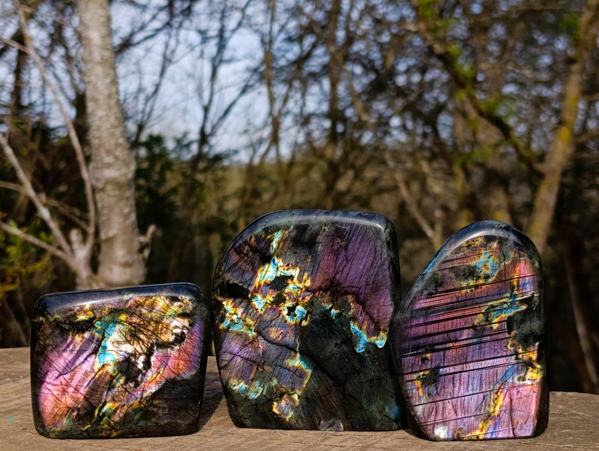 Polished Labradorite Sunset Standing Display Pieces x 3 From Madagascar - Toprock Gemstones and Minerals 