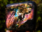 Polished Labradorite Sunset Standing Display Pieces x 3 From Madagascar - Toprock Gemstones and Minerals 