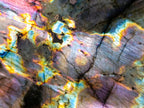 Polished Labradorite Sunset Standing Display Pieces x 3 From Madagascar - Toprock Gemstones and Minerals 