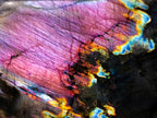 Polished Labradorite Sunset Standing Display Pieces x 3 From Madagascar - Toprock Gemstones and Minerals 