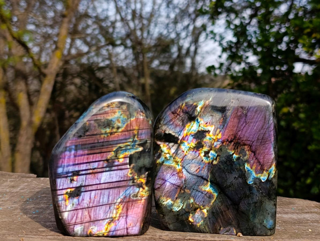 Polished Labradorite Sunset Standing Display Pieces x 3 From Madagascar - Toprock Gemstones and Minerals 