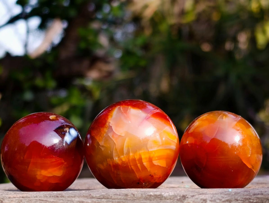 Polished and Natural Carnelian Agate Gemstone Spheres x 21 From Madagascar - Toprock Gemstones and Minerals 
