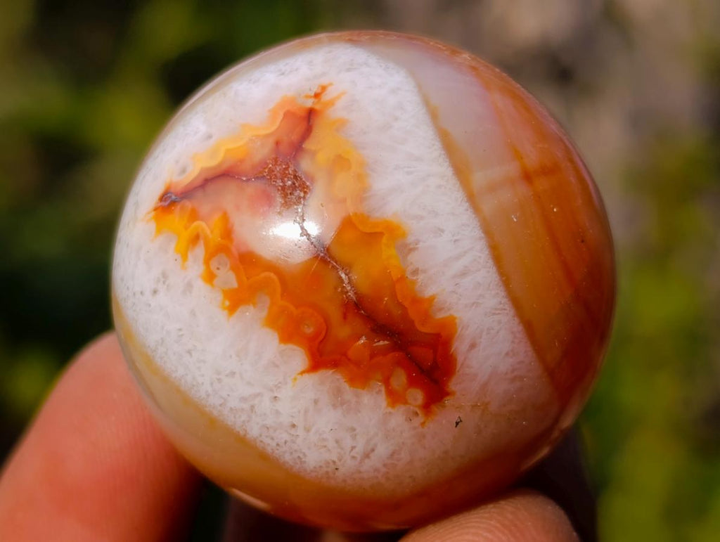 Polished and Natural Carnelian Agate Gemstone Spheres x 21 From Madagascar - Toprock Gemstones and Minerals 