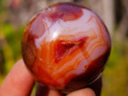 Polished and Natural Carnelian Agate Gemstone Spheres x 21 From Madagascar - Toprock Gemstones and Minerals 
