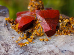 Hand Made Large Twin Gemstone Aloe Stone Art Display Pieces x 2 From South Africa - Toprock Gemstones and Minerals 