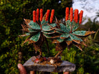 Hand Made Large Twin Gemstone Aloe Stone Art Display Pieces x 2 From South Africa - Toprock Gemstones and Minerals 