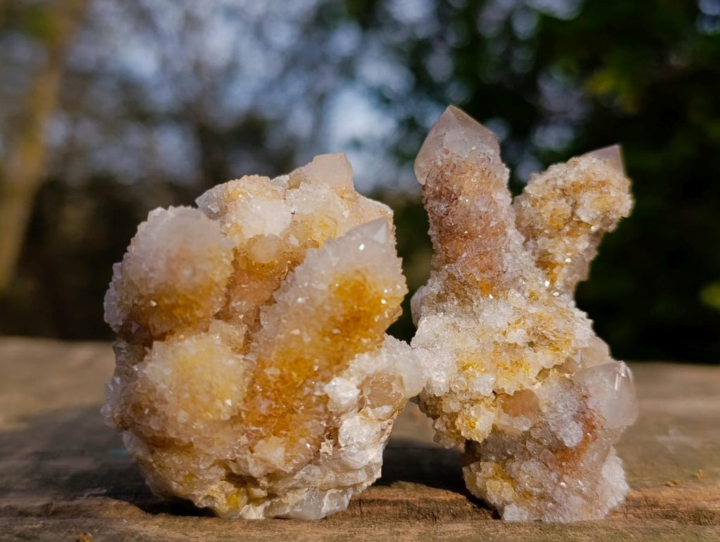 Natural Limonite Tinted Smokey Spirit Quartz Crystal and Clusters x 35 From Boekenhouthoek, South Africa - Toprock Gemstones and Minerals 