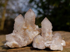 Natural Limonite Tinted Smokey Spirit Quartz Crystal and Clusters x 35 From Boekenhouthoek, South Africa - Toprock Gemstones and Minerals 