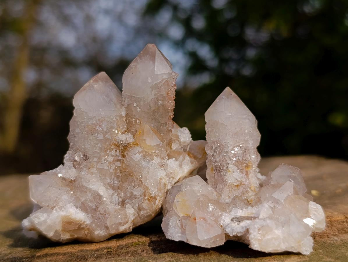 Natural Limonite Tinted Smokey Spirit Quartz Crystal and Clusters x 35 From Boekenhouthoek, South Africa - Toprock Gemstones and Minerals 