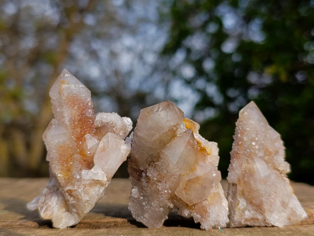 Natural Limonite Tinted Smokey Spirit Quartz Crystal and Clusters x 35 From Boekenhouthoek, South Africa - Toprock Gemstones and Minerals 