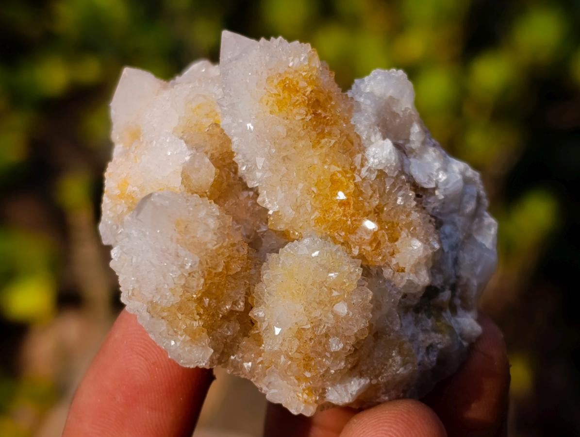 Natural Limonite Tinted Smokey Spirit Quartz Crystal and Clusters x 35 From Boekenhouthoek, South Africa - Toprock Gemstones and Minerals 