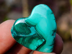 Polished Mini Flower Banded Malachite Hearts x 35 From Congo - Toprock Gemstones and Minerals 