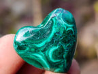 Polished Mini Flower Banded Malachite Hearts x 35 From Congo - Toprock Gemstones and Minerals 