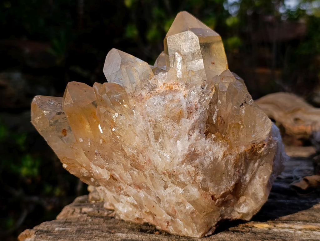 Natural Large Cascading Smokey Citrine Quartz Cluster x 1 From Luena, Congo - Toprock Gemstones and Minerals 