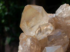 Natural Large Cascading Smokey Citrine Quartz Cluster x 1 From Luena, Congo - Toprock Gemstones and Minerals 