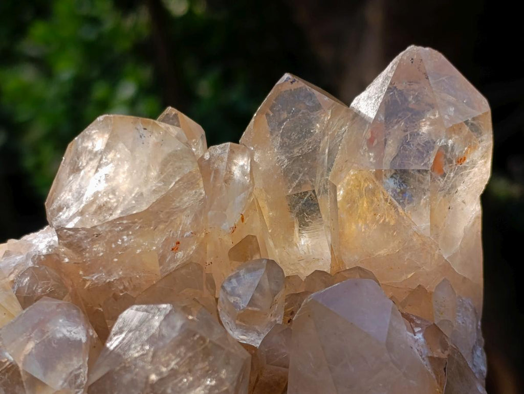 Natural Large Cascading Smokey Citrine Quartz Cluster x 1 From Luena, Congo - Toprock Gemstones and Minerals 