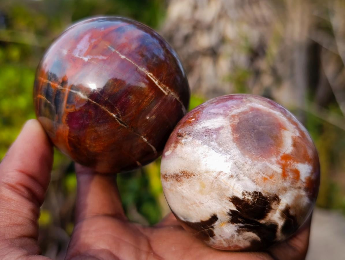 Polished Red Podocarpus Petrified Wood Spheres x 6 From Mahajanga, Madagascar - Toprock Gemstones and Minerals 