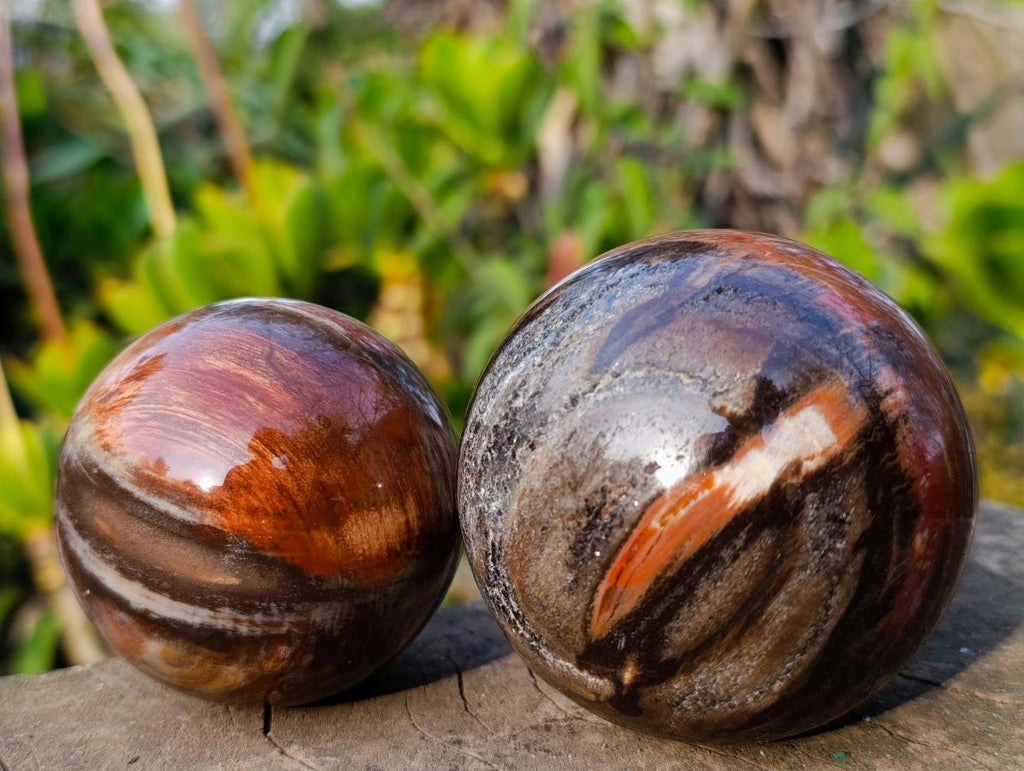 Polished Red Podocarpus Petrified Wood Spheres x 6 From Mahajanga, Madagascar - Toprock Gemstones and Minerals 