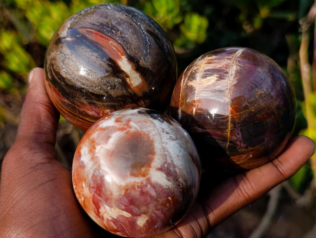 Polished Red Podocarpus Petrified Wood Spheres x 6 From Mahajanga, Madagascar - Toprock Gemstones and Minerals 