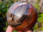 Polished Red Podocarpus Petrified Wood Spheres x 6 From Mahajanga, Madagascar - Toprock Gemstones and Minerals 
