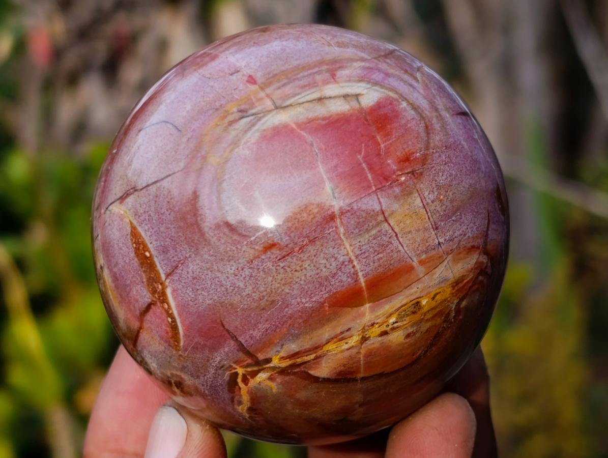 Polished Red Podocarpus Petrified Wood Spheres x 6 From Mahajanga, Madagascar - Toprock Gemstones and Minerals 