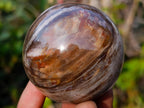 Polished Red Podocarpus Petrified Wood Spheres x 6 From Mahajanga, Madagascar - Toprock Gemstones and Minerals 