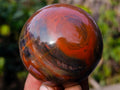 Polished Red Podocarpus Petrified Wood Spheres x 6 From Mahajanga, Madagascar - Toprock Gemstones and Minerals 