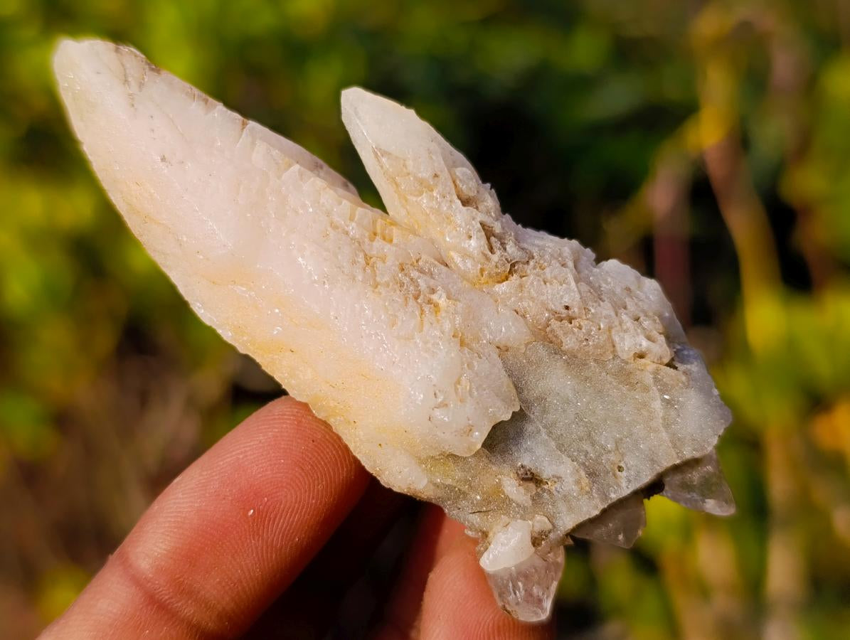 Natural Drusy Quartz Coated "Cock Spur" Calcite Crystals x 12 From Albert's Mountain, Lesotho - Toprock Gemstones and Minerals 