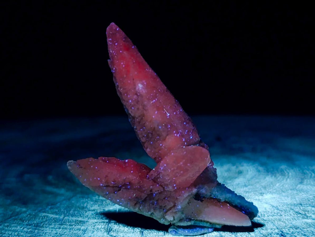 Natural Drusy Quartz Coated "Cock Spur" Calcite Crystals x 12 From Albert's Mountain, Lesotho - Toprock Gemstones and Minerals 