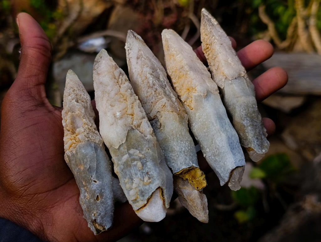 Natural Drusy Quartz Coated "Cock Spur" Calcite Crystals x 12 From Albert's Mountain, Lesotho - Toprock Gemstones and Minerals 