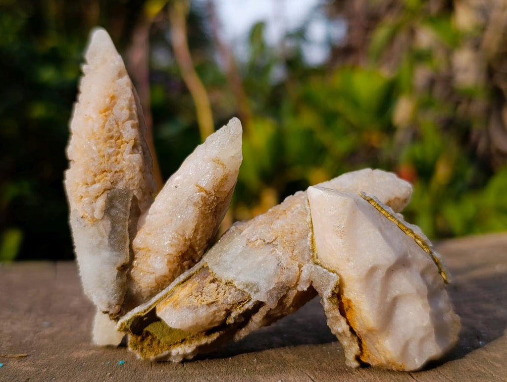 Natural Drusy Quartz Coated "Cock Spur" Calcite Crystals x 12 From Albert's Mountain, Lesotho - Toprock Gemstones and Minerals 