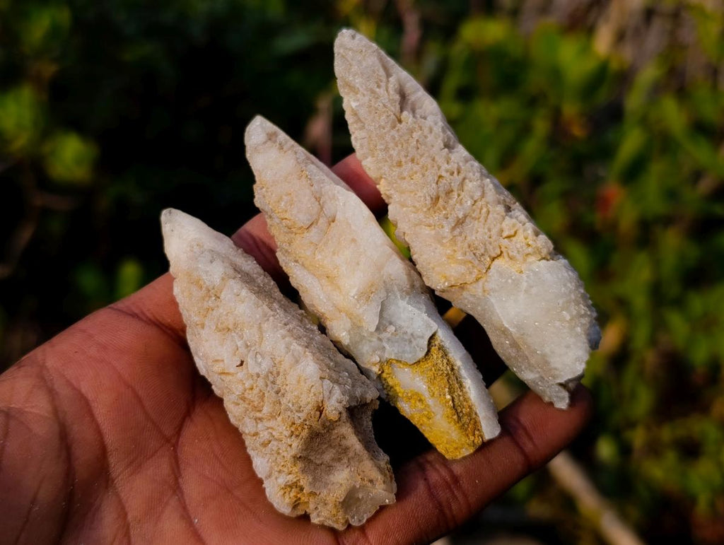Natural Drusy Quartz Coated "Cock Spur" Calcite Crystals x 12 From Albert's Mountain, Lesotho - Toprock Gemstones and Minerals 