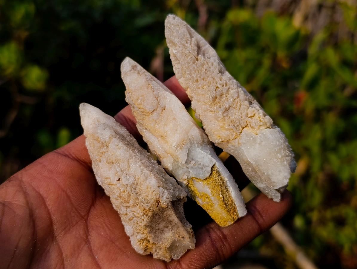 Natural Drusy Quartz Coated "Cock Spur" Calcite Crystals x 12 From Albert's Mountain, Lesotho - Toprock Gemstones and Minerals 
