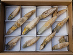 Natural Drusy Quartz Coated "Cock Spur" Calcite Crystals x 12 From Albert's Mountain, Lesotho - Toprock Gemstones and Minerals 