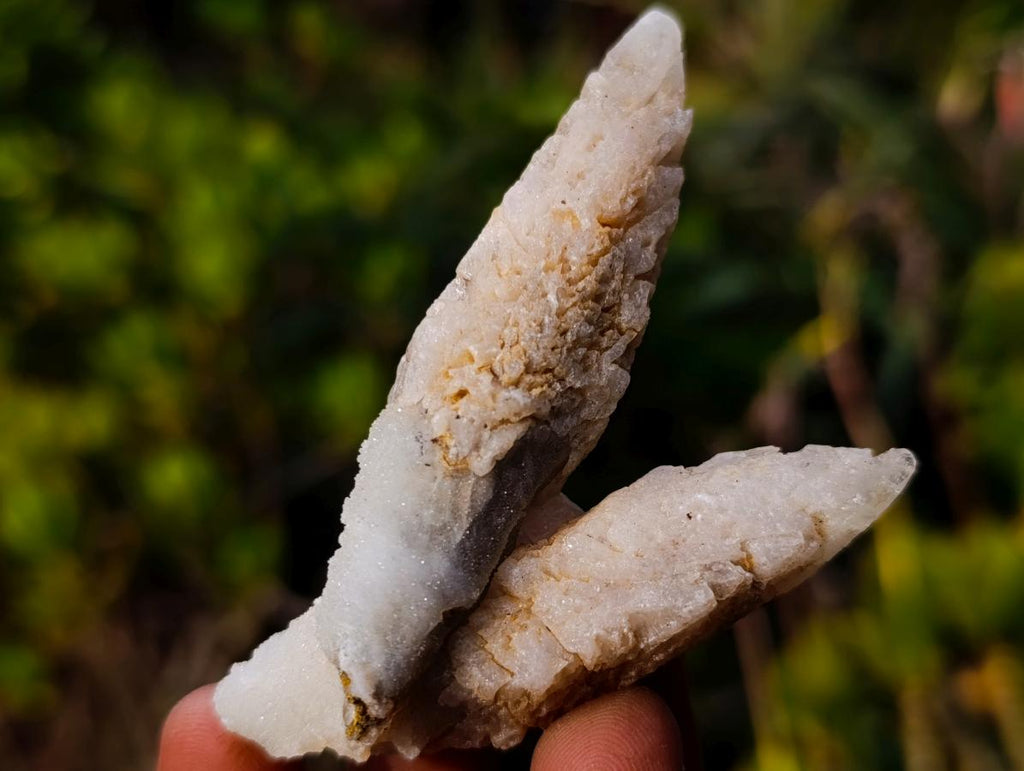 Natural Drusy Quartz Coated "Cock Spur" Calcite Crystals x 12 From Albert's Mountain, Lesotho - Toprock Gemstones and Minerals 