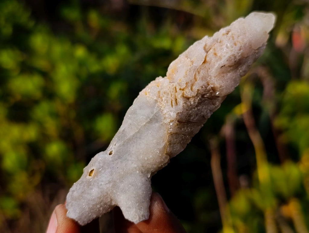 Natural Drusy Quartz Coated "Cock Spur" Calcite Crystals x 12 From Albert's Mountain, Lesotho - Toprock Gemstones and Minerals 