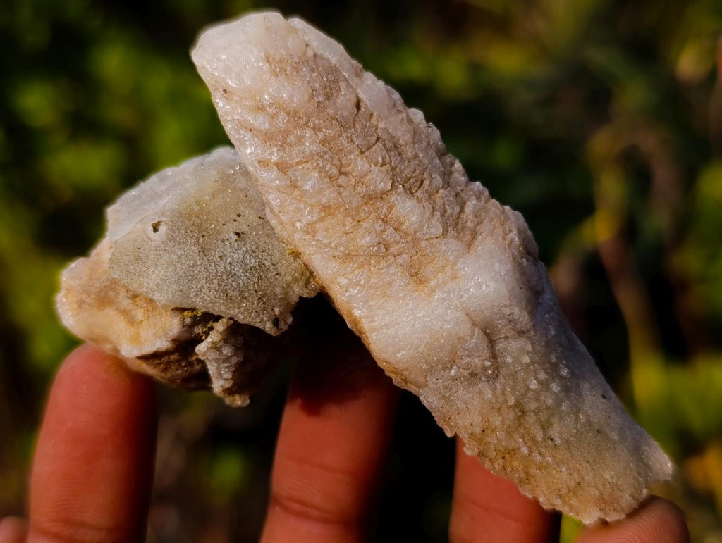 Natural Drusy Quartz Coated "Cock Spur" Calcite Crystals x 12 From Albert's Mountain, Lesotho - Toprock Gemstones and Minerals 