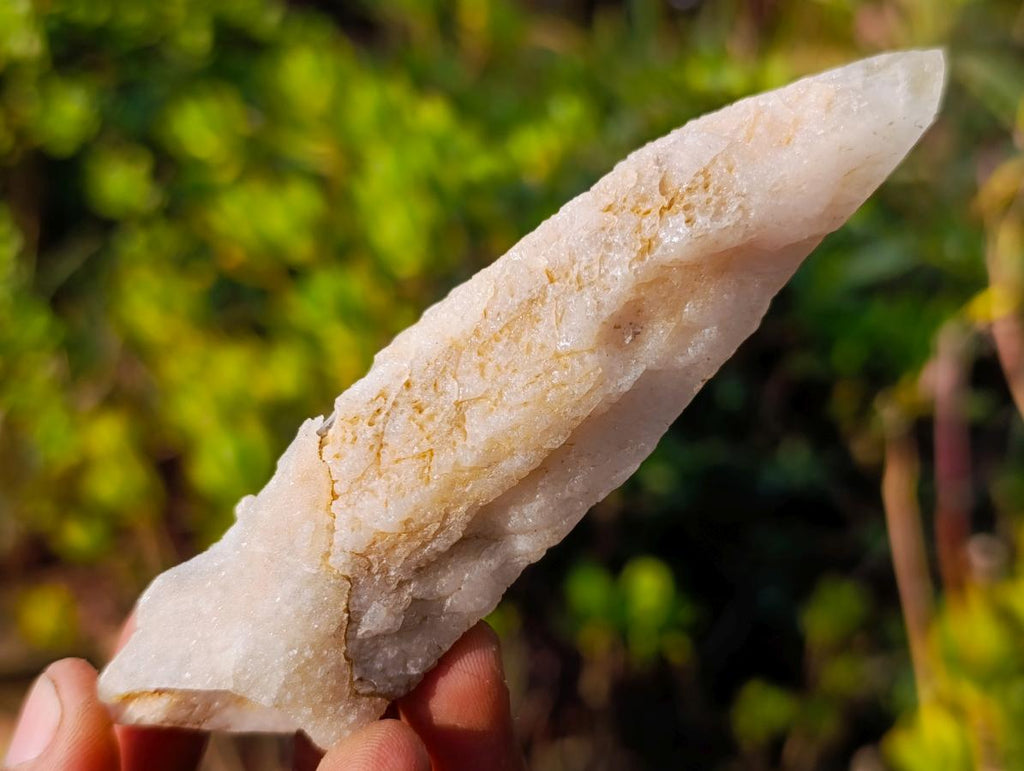 Natural Drusy Quartz Coated "Cock Spur" Calcite Crystals x 12 From Albert's Mountain, Lesotho - Toprock Gemstones and Minerals 