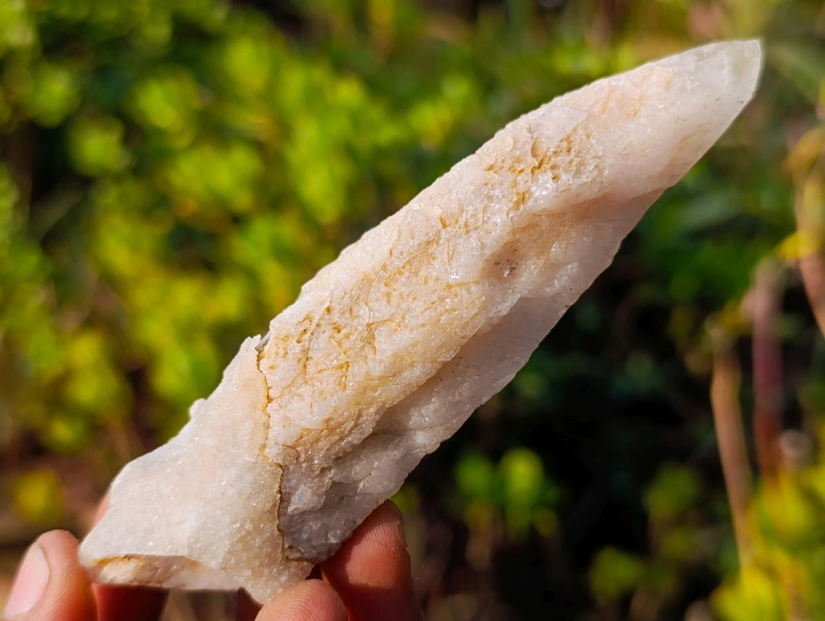Natural Drusy Quartz Coated "Cock Spur" Calcite Crystals x 12 From Albert's Mountain, Lesotho - Toprock Gemstones and Minerals 