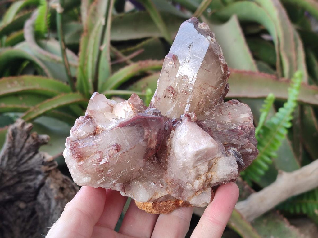 Polished and Natural Red Hematoid Quartz Crystal Clusters x 2 From Karoi, Zimbabwe