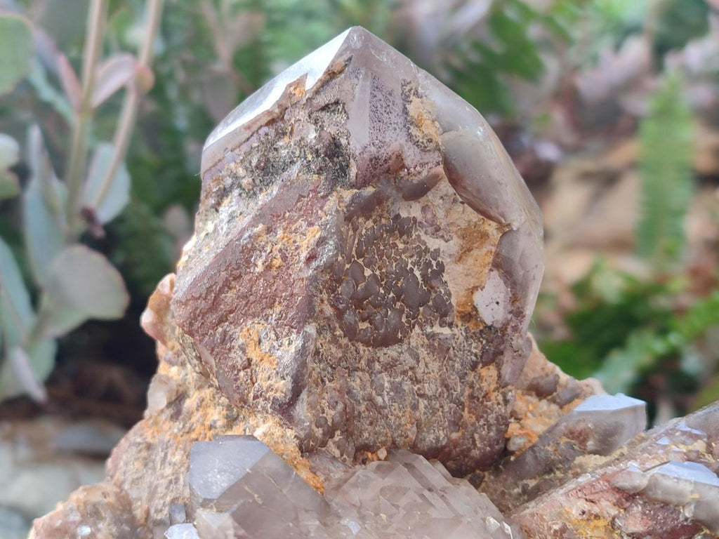 Polished and Natural Red Hematoid Quartz Crystal Clusters x 2 From Karoi, Zimbabwe